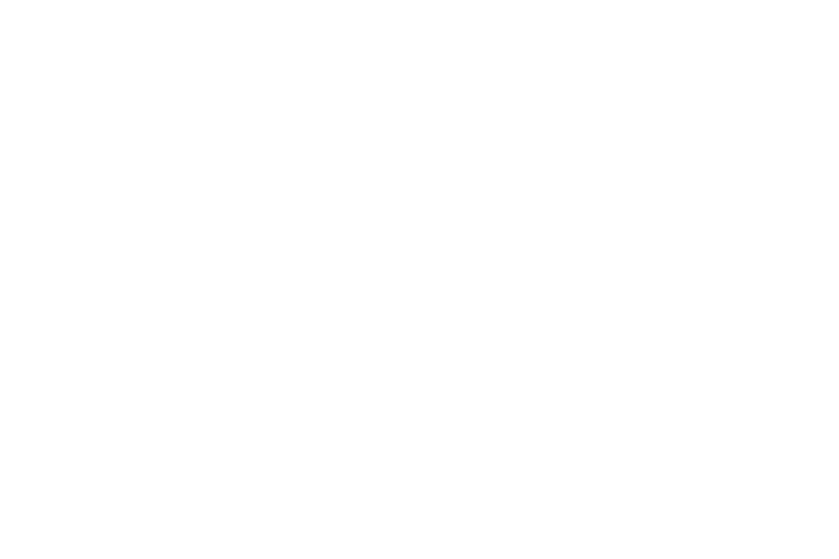 하우풀 (Howful)
